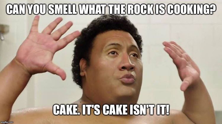 The Rock Meme  Bitten By Design